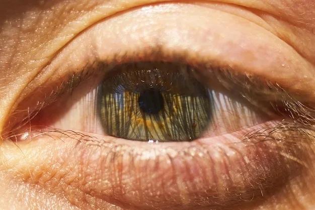 Close-up sur des yeux hazel avec un mélange unique de brun, vert et doré
