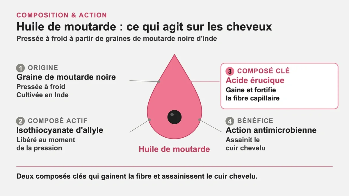 Fiole d'huile de moutarde noire avec graines de moutarde en arrière-plan